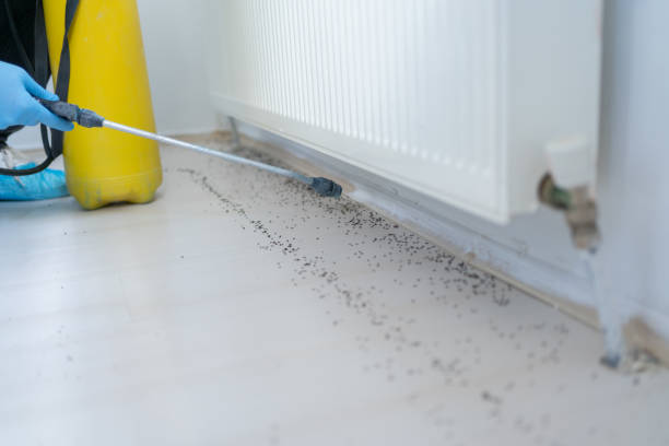Best Wildlife Control Services  in Bridgetown, OH